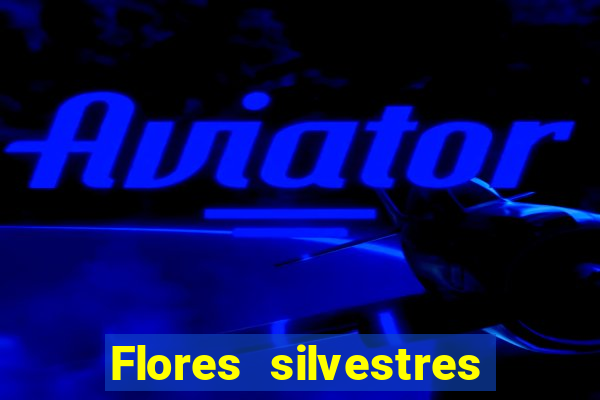 Flores silvestres brasileiras brasileiras flores silvestres nomes e imagens